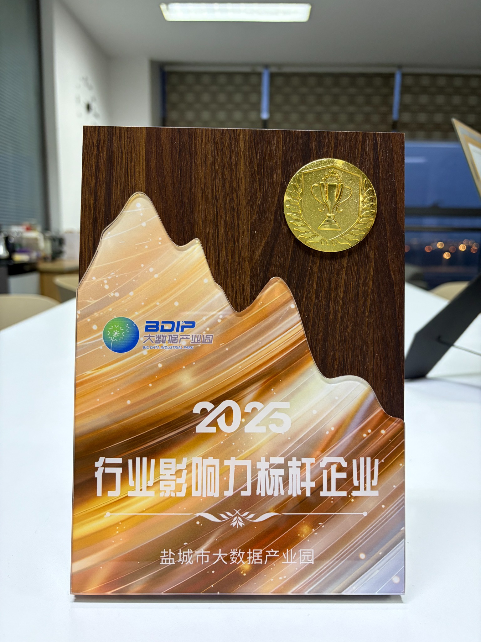 盐城天讯科技2025行业影响力标杆企业荣誉